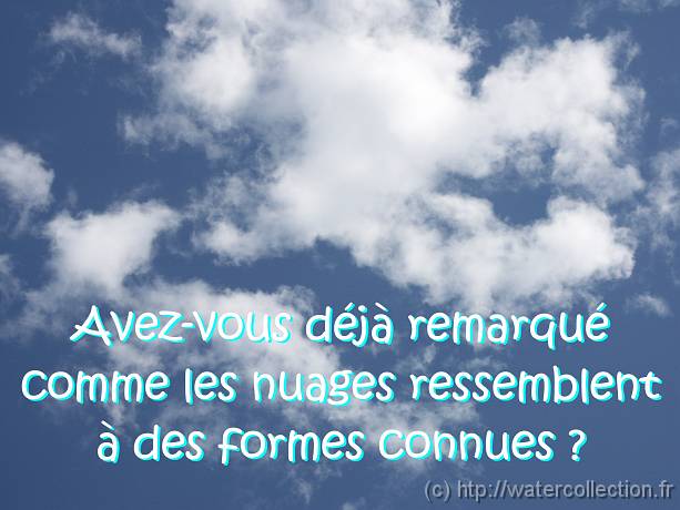 0 2004-08-23 15-09-21 Nature 106,0mm 1_400_eme F7,1 